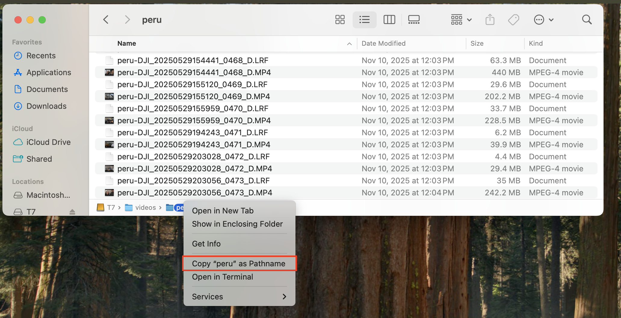 স্ক্রিনশট: Path Bar-এ ফোল্ডারের নামে রাইট-ক্লিক → Copy as Pathname