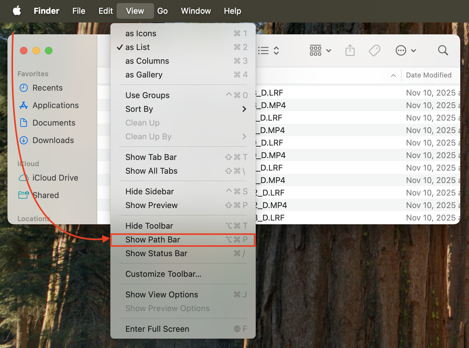 স্ক্রিনশট: Finder → View → Show Path Bar